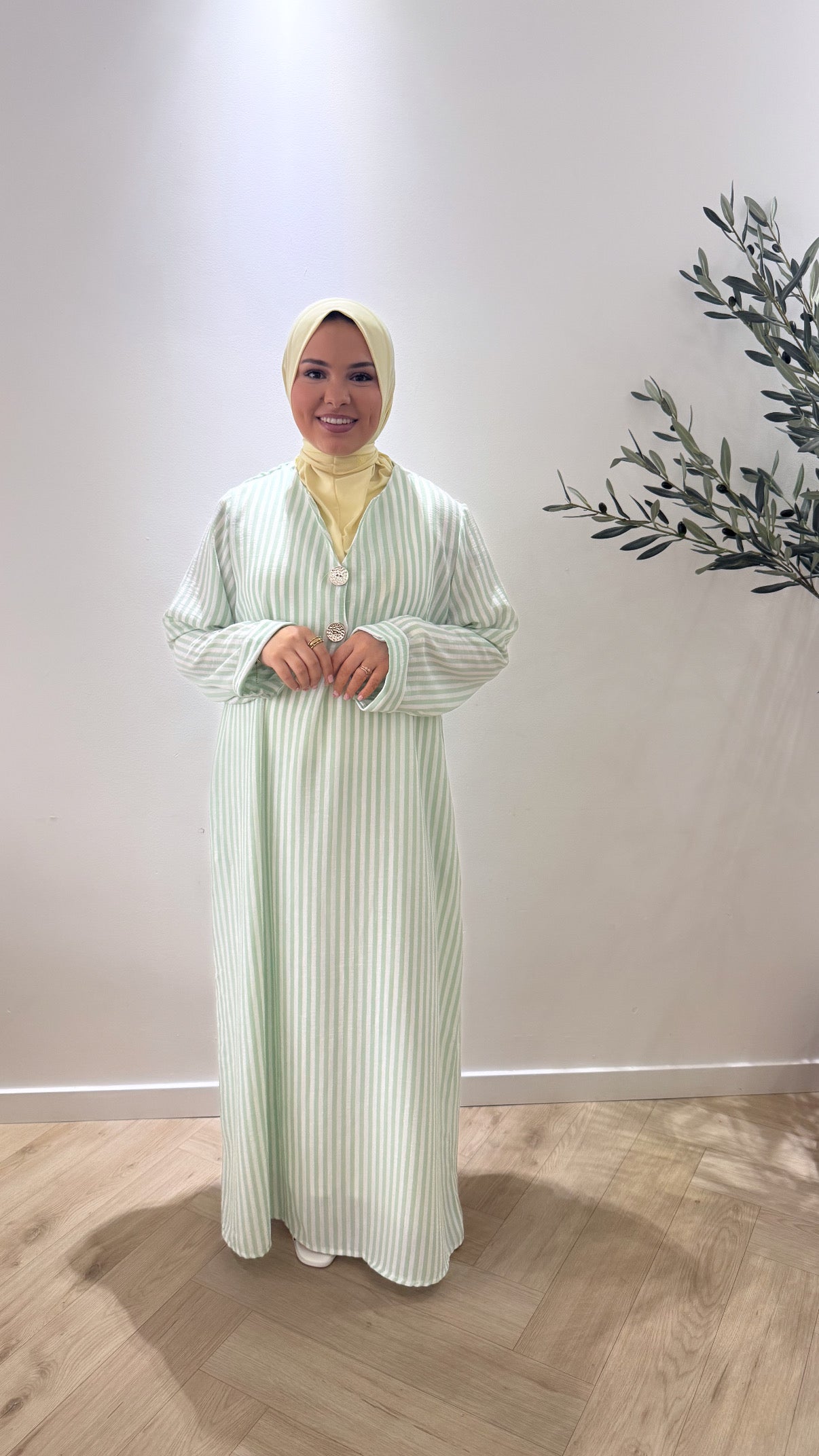 The stripe dress - mint